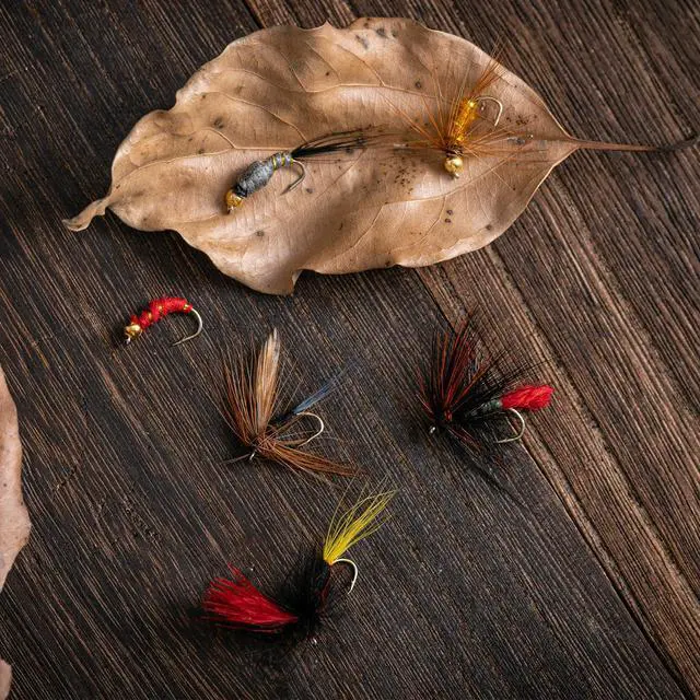 Alt view image 4 of 7 - Fly Fishing Flies Kit, 30pcs Dry Wet Flies Streamers Nymphs Fly Fishing Lures Assortment Kit for Bass Trout Steelhead Salmon, Gifts for Men