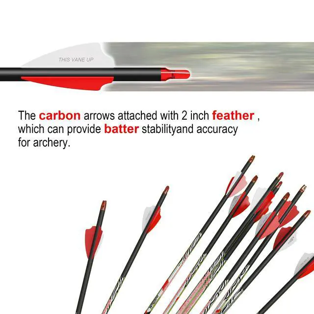 Alt view image 5 of 7 - 32" Pure Carbon Archery Arrows Spine 300 350 400 Removable Tips