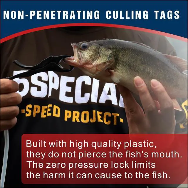 Alt view image 4 of 7 - Cull Tags for Bass Fishing, Fish Culling System with 6 Color-Coded Tags and Buoy Keeper, No Puncture Style Tournament Bass Fishing Accessories Fishing Gear for Tournament Angler