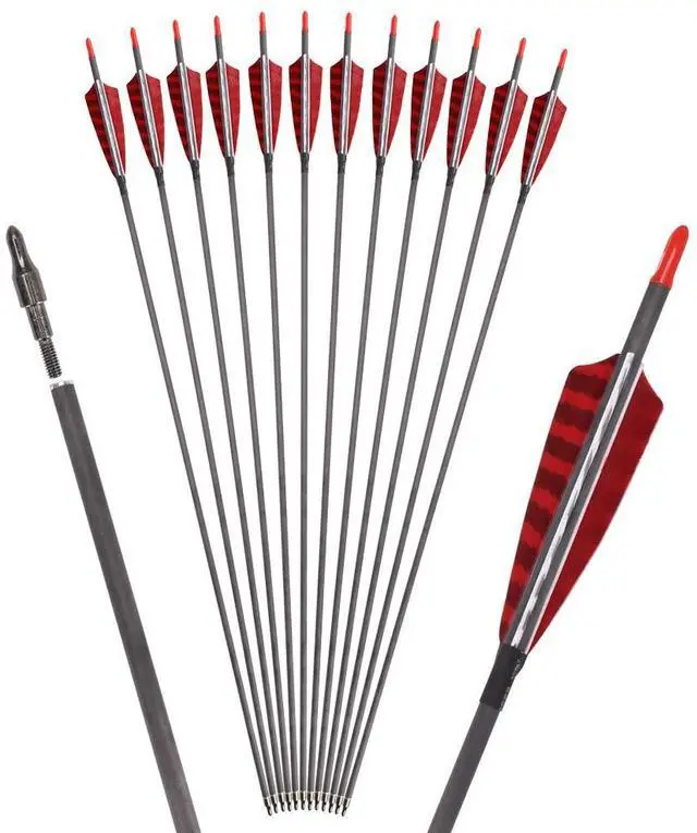 Main image of Pure Carbon Arrows 600 700 Spine 30 Inch Turkey Feather Fletching Screw in Field Points Targeting Hunting for Traditional Long Bow Recurve Bow Compound Bow