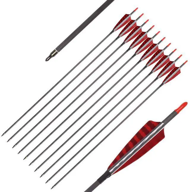 Main image of Pure Carbon Arrows 600 700 Spine 30 Inch Turkey Feather Fletching Screw in Field Points Targeting Hunting for Traditional Long Bow Recurve Bow Compound Bow