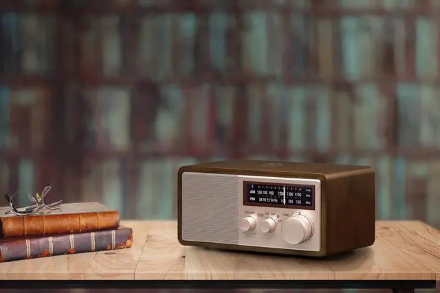 Alt view image 4 of 7 - WR-16SE AM/FM/Bluetooth/Aux-in/USB Phone Charging 45th Anniversary Special Edition Wooden Cabinet Radio (Dark Walnut with Rose Gold)