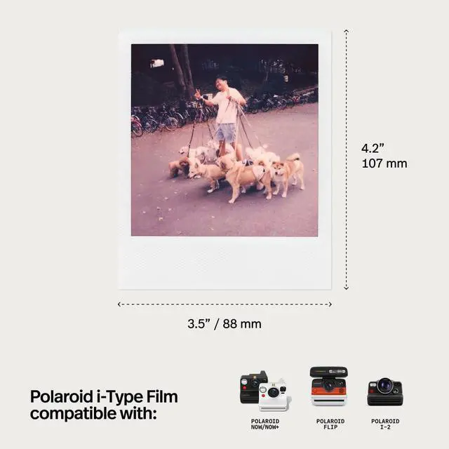 Alt view image 6 of 6 - Color i-Type Film - Triple Pack, 24 Photos (6272), Instant Photo