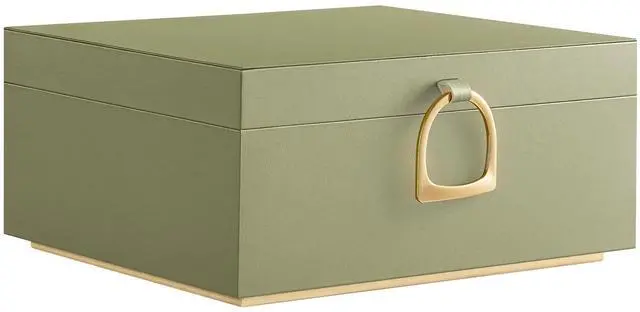 Main image of 2-Layer Jewelry Box, Jewelry Organizer with Handle, Removable Jewelry Tray, Jewelry Storage, Floating Effect, 8.1 x 9.4 x 4.3 Inches, Gift Idea, Sage Green UJBC165C02