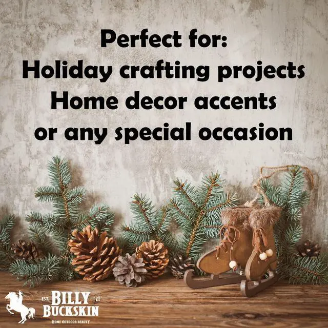 Alt view image 4 of 7 - 20 Large Natural Pine Cones for Crafts, 3" to 4" Tall Pine Cones Craft for Table, Home Decor, Vase Fillers, Desk & Christmas Trees, Unscented Pinecones Crafts Ornament for Decorating by Billy Buckskin