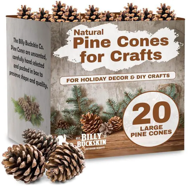 Main image of 20 Large Natural Pine Cones for Crafts, 3" to 4" Tall Pine Cones Craft for Table, Home Decor, Vase Fillers, Desk & Christmas Trees, Unscented Pinecones Crafts Ornament for Decorating by Billy Buckskin