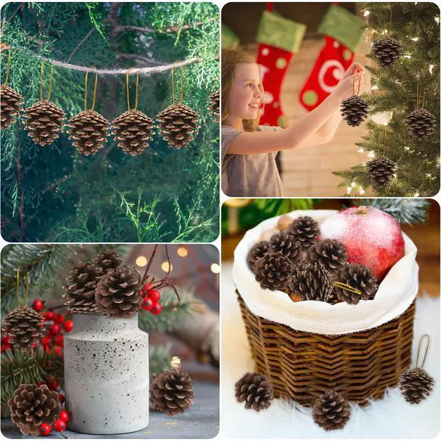 Alt view image 7 of 7 - 24 PCS Natural Pine Cones, 1.96 in Pinecone Ornaments, Rustic Pine Cones for Crafts, Winter Decorations for Home, Bulk Pines Cone with Gold String for Christmas Table Decor DIY Christmas Ornaments