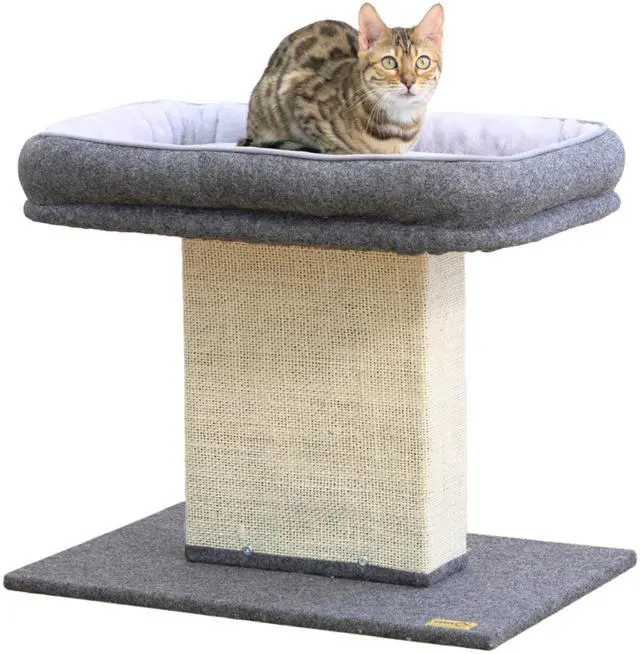 Main image of Cat Perch with Washable Replaceable Bed & Wide Sisal Scratching Post