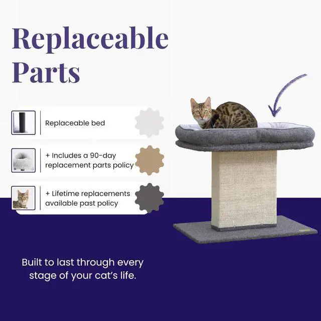 Alt view image 3 of 7 - Cat Perch with Washable Replaceable Bed & Wide Sisal Scratching Post