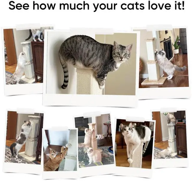 Alt view image 6 of 7 - Cat Scratching Post for Large Cats, Cat Scratcher for Indoor Cats Adults, Sturdy Sisal Scratch Post to Protect Furniture, 32 Inch, Beige