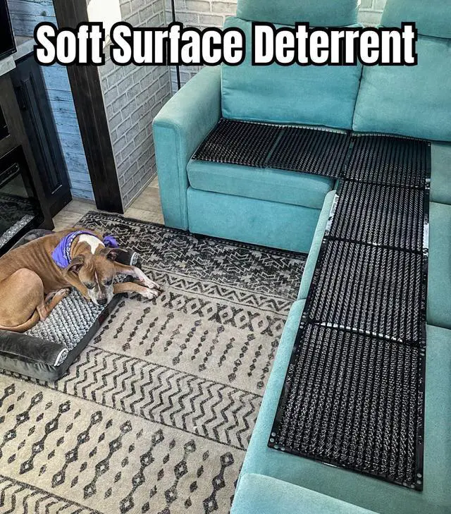 Alt view image 3 of 7 - Scat Mats for Dogs & Cats - 10 Pack | Pet Repellent Mats | Keep Dogs Off Couch & Furniture | Keep Off Countertops | Scat Mat for Cats | Deterrent for Pets