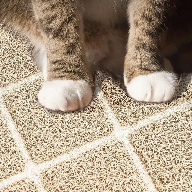 Alt view image 4 of 7 - Premium Cat Litter Mat, Litter Box Mat with Non-Slip and Waterproof Backing, Litter Trapping Mat Soft on Kitty Paws and Easy to Clean, Cat Mat Traps Litter from Box
