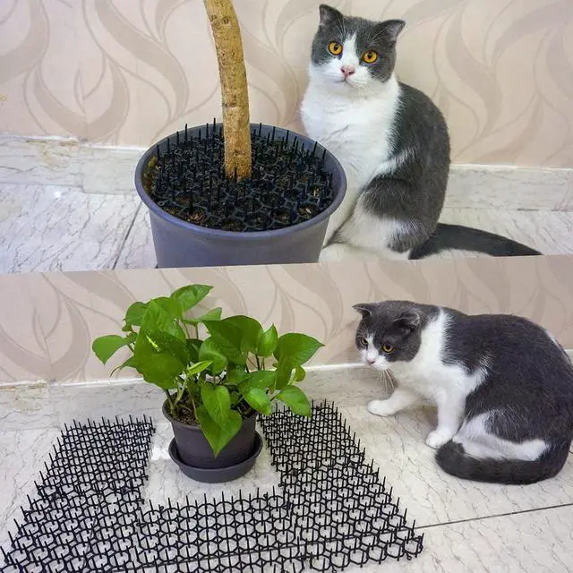 Alt view image 2 of 7 - 12 Pack Cat Deterrent Mat, 6 x 8 in Scat Mat with Spikes, Keep Cats Away from Plants, Indoor Furniture & Outdoor Garden Fence Pet Repellent Barrier