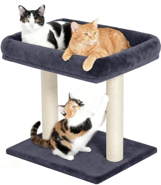 Main image of 19" Small Cat Tree with Scratching Post for Indoor Cats with Perch