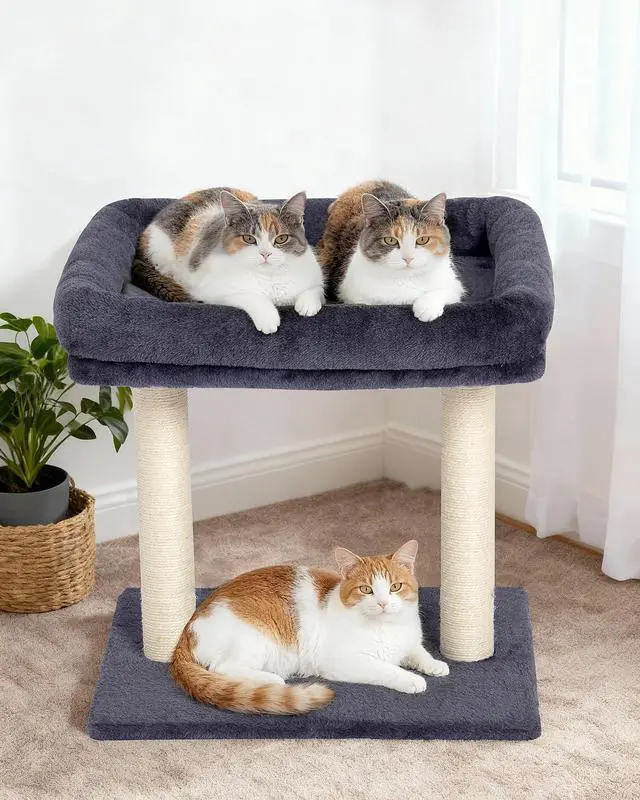 Alt view image 6 of 7 - 19" Small Cat Tree with Scratching Post for Indoor Cats with Perch