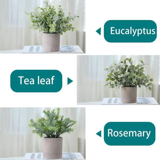 Alt view image 6 of 7 - 3 Pack Small Potted Fake Plants Artificial Eucalyptus Realistic Bonsai Perfect for Home Office Desk Bookshelf Countertop Church Table Decor Boho Ornaments