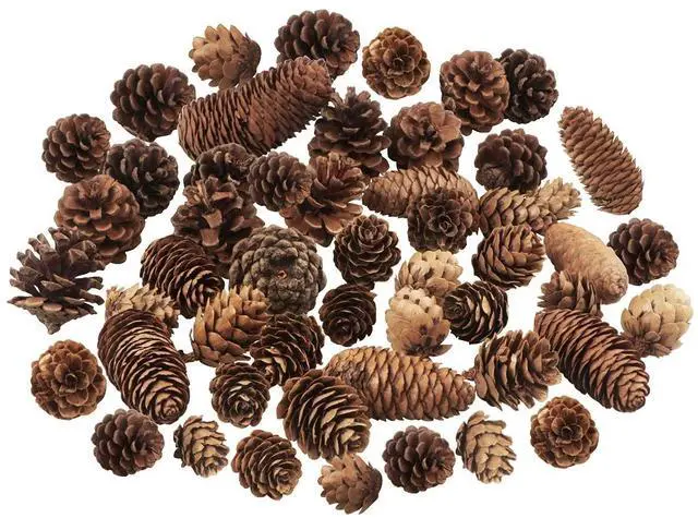 Main image of 40 PCS Rustic Pine Cone Decorations - Large, Medium and Mini Sizes for Table, Tree and Home Decor