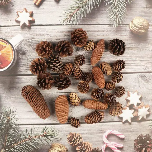 Alt view image 5 of 6 - 40 PCS Rustic Pine Cone Decorations - Large, Medium and Mini Sizes for Table, Tree and Home Decor
