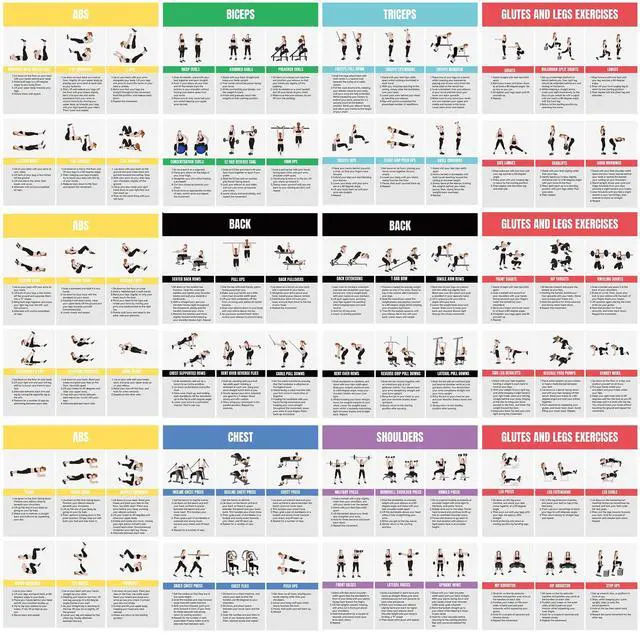 Main image of Full Body Workout Poster for Home Gym Exercise Chart for Glutes, Legs, Back & Abs Strength Training Guide with Squats, Lunges, Deadlifts, Core Exercises Bodyweight & Dumbbell Training Guide