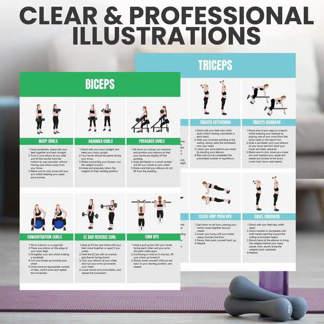 Alt view image 4 of 7 - Full Body Workout Poster for Home Gym Exercise Chart for Glutes, Legs, Back & Abs Strength Training Guide with Squats, Lunges, Deadlifts, Core Exercises Bodyweight & Dumbbell Training Guide