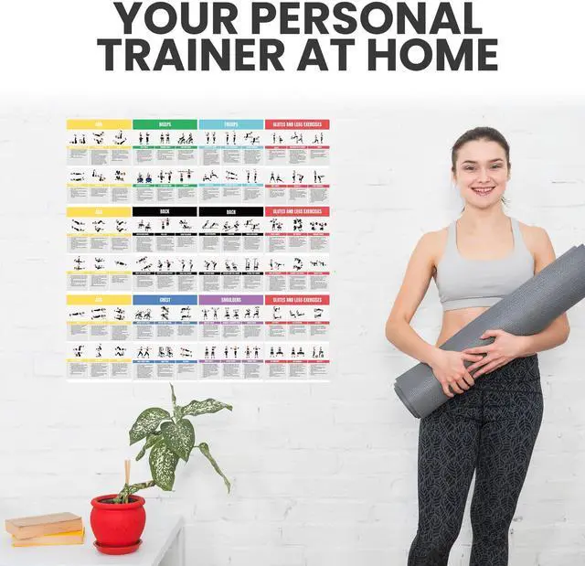 Alt view image 5 of 7 - Full Body Workout Poster for Home Gym Exercise Chart for Glutes, Legs, Back & Abs Strength Training Guide with Squats, Lunges, Deadlifts, Core Exercises Bodyweight & Dumbbell Training Guide
