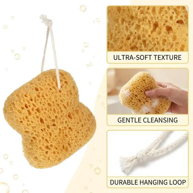 Alt view image 3 of 7 - Sea Sponges for Shower, Natural Sea Sponges for Bathing, Gentle Exfoliation for Sensitive Skin, Portable Bath Accessories with Hanging Loops, Set of 3 Sponges 13.5x12.5cm