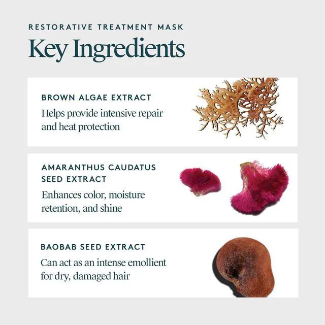 Alt view image 3 of 7 - Restorative Hair Mask Treatment for Damaged Hair with Keratin and Baobab Seed Oil, Safe for All Hair Types, Color Safe