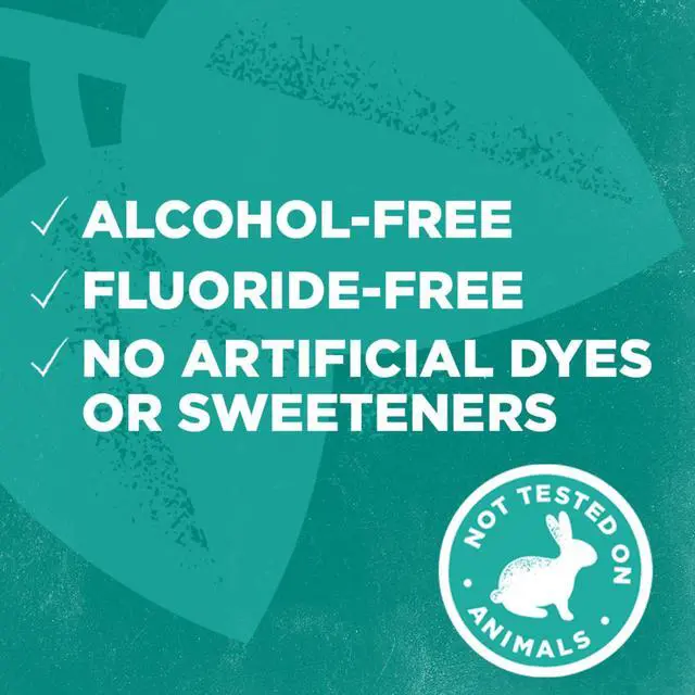 Alt view image 4 of 7 - Natural Wicked Fresh Alcohol-Free Mouthwash, Cool Mountain Mint, 16 oz. 6-Pack (Packaging May Vary)