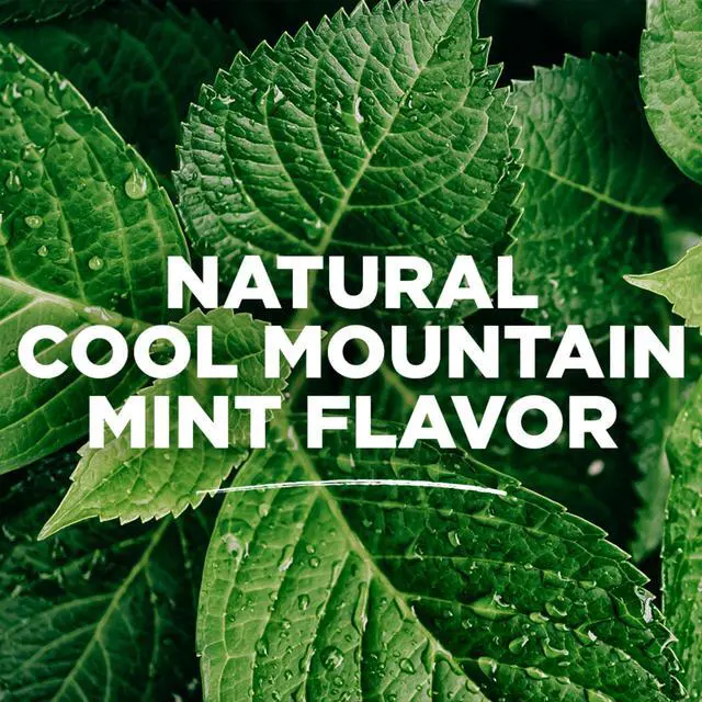 Alt view image 5 of 7 - Natural Wicked Fresh Alcohol-Free Mouthwash, Cool Mountain Mint, 16 oz. 6-Pack (Packaging May Vary)