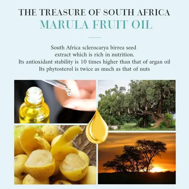 Alt view image 3 of 6 - Travel Size 2in1 Shampoo & Conditioner with Marula Oil - 1.05 oz - Hotel Size for Use in Vacation Rental/Guest Room-SLS and Paraben Free-Ambergris Scent(100 Pack)