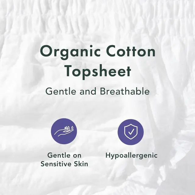 Alt view image 3 of 7 - Disposable Underwear for Women, Organic Cotton Cover - Incontinence Pads, Postpartum Essentials, Disposable Underwear, Unscented, Maximum Coverage (Size S-M, 12 Count)
