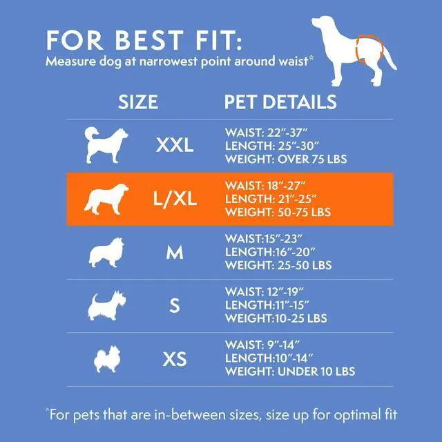 Alt view image 4 of 6 - Disposable Dog Diapers, Female Dog Diapers, Puppy Potty Training, Incontinence and Heat Cycle Protection, Large Diapers for Dogs, 18-27 Inch Waist, 30 Count