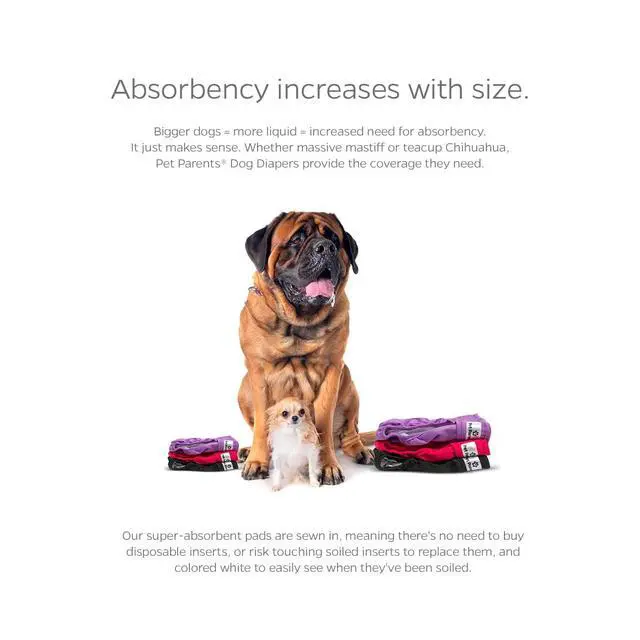 Alt view image 4 of 7 - Washable Dog Diapers (3pack) + Extendrs® of Durable Doggie Diapers, Premium Dog Diapers Female (Large, Princess)