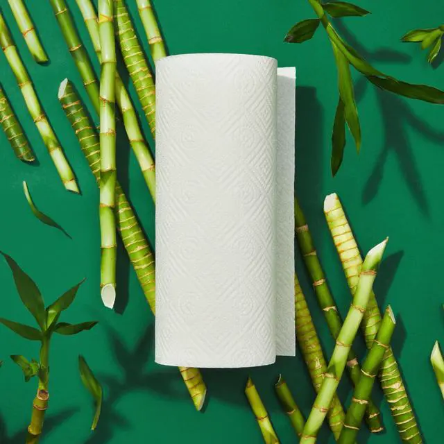 Alt view image 7 of 7 - 2-Ply Bamboo Paper Towels (12 Rolls, 140 Sheets Per Roll) FSC Certified, Highly Absorbent Select-A-Size Sheets Plastic-Free Packaging Tree-Free & Biodegradable