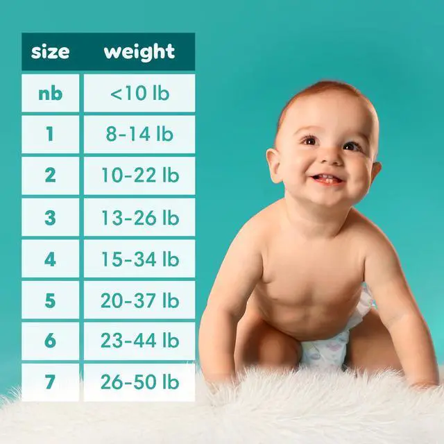 Alt view image 7 of 7 - Diapers - Baby Dry - Size 2, 112 Count, Absorbent Disposable Infant Diaper (Packaging May Vary)