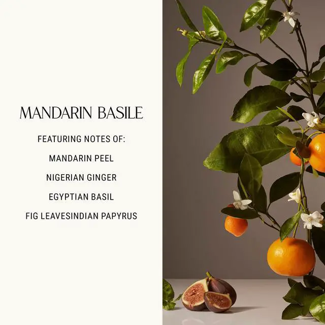 Alt view image 5 of 6 - by Courteney Cox Dish Soap, Mandarin Basile, 16 fl oz