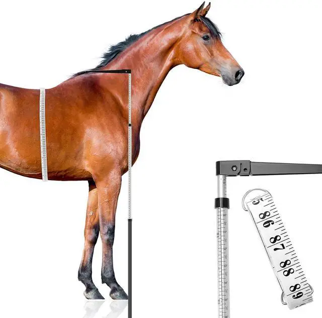 Main image of 2 PCS Horse Height Measuring Kit - Foldable 91 Inch Tape & Lightweight Aluminum Stick (27.5-74.8 Inch), Accurately Measure Horse Height in Hands
