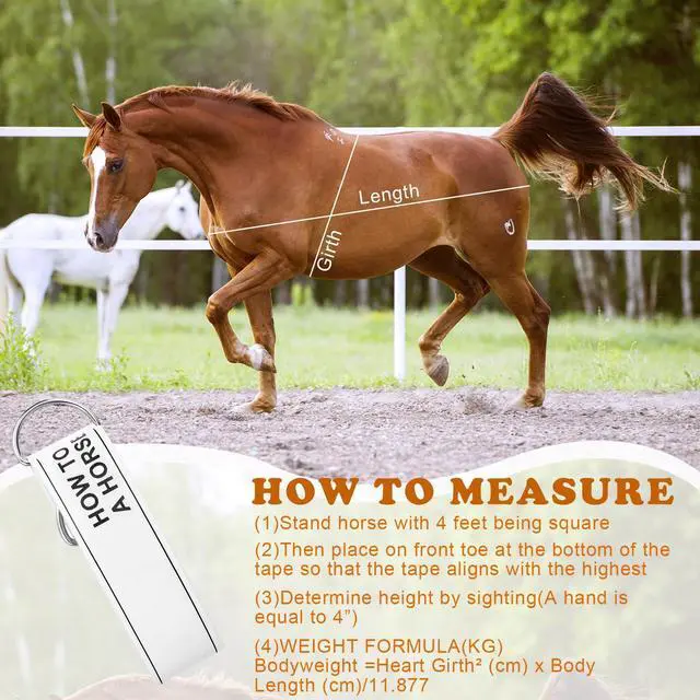 Alt view image 4 of 7 - 2 PCS Horse Height Measuring Kit - Foldable 91 Inch Tape & Lightweight Aluminum Stick (27.5-74.8 Inch), Accurately Measure Horse Height in Hands