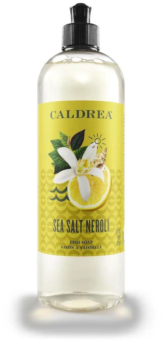 Main image of Dish Soap, Biodegradable Dishwashing Liquid made with Soap Bark and Aloe Vera, Sea Salt Neroli, 16 oz