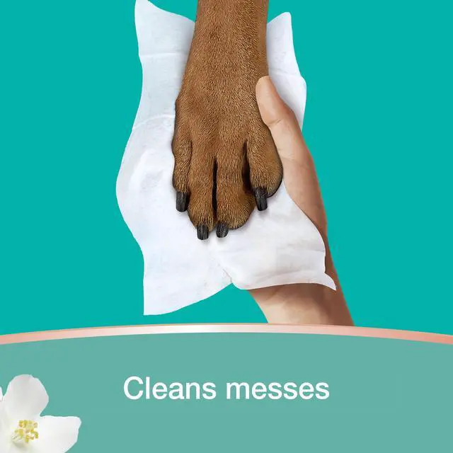 Alt view image 5 of 7 - Wipes, Clean & Calm, Cotton Blossom Scent, 336 Wipes Total (6x Pop-Top Packs)