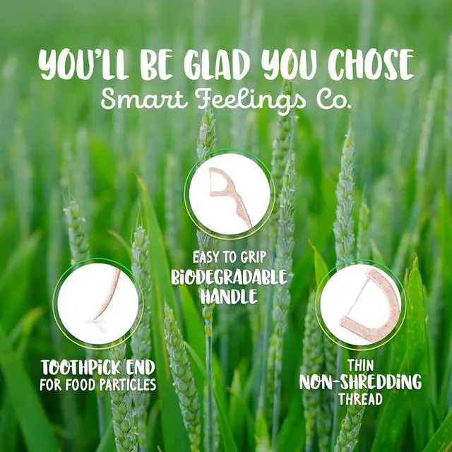 Alt view image 2 of 7 - Biodegradable Dental Floss Picks 100 Count 2 Packs | Eco-Friendly Bamboo Like Straw Wheat Sustainable Mint Flavored Flossers for Kids and Adult Teeth Cleaning for the Enviromentally Conscious