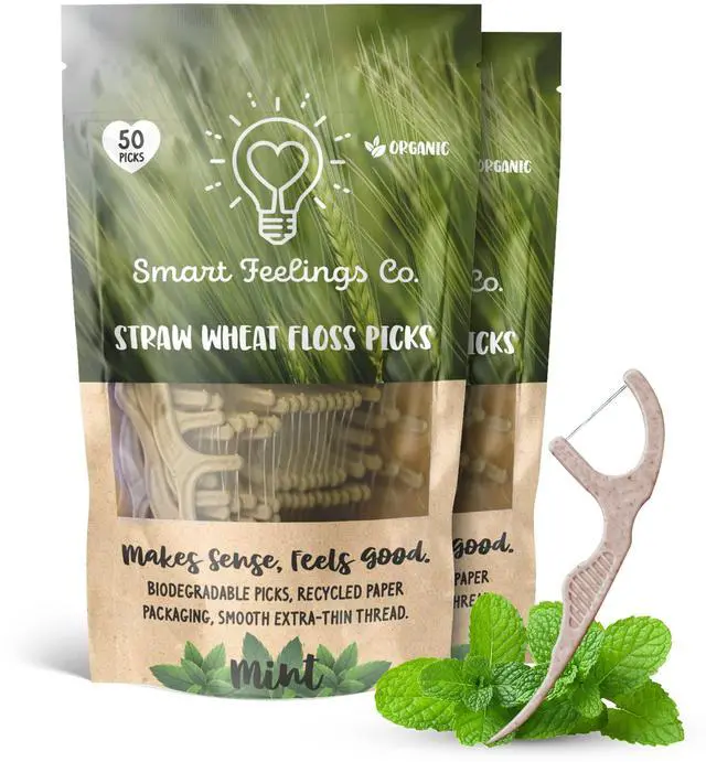 Main image of Biodegradable Dental Floss Picks 100 Count 2 Packs | Eco-Friendly Bamboo Like Straw Wheat Sustainable Mint Flavored Flossers for Kids and Adult Teeth Cleaning for the Enviromentally Conscious