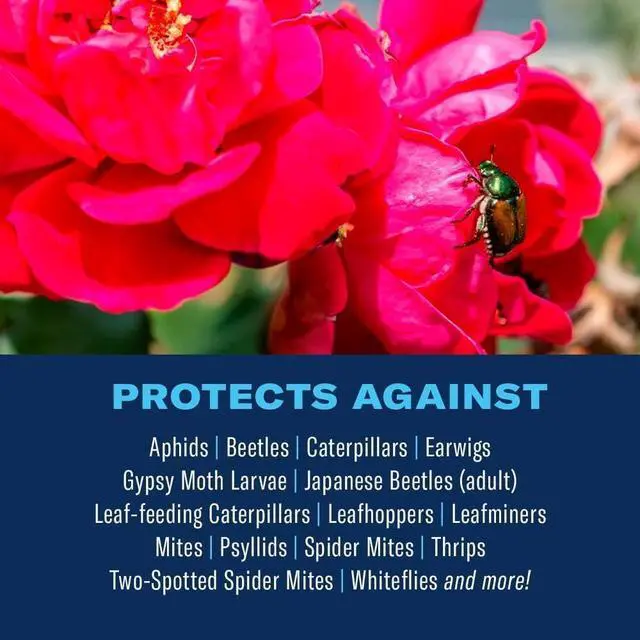 Alt view image 2 of 7 - BioAdvanced 3-in-1 Insect, Disease, and Plant Mite Control - Insecticide, Fungicide & Miticide - Ready-to-Spray- Prevents Pests and Diseases - Up to 30 Days Protection - 32 fl oz Bottle
