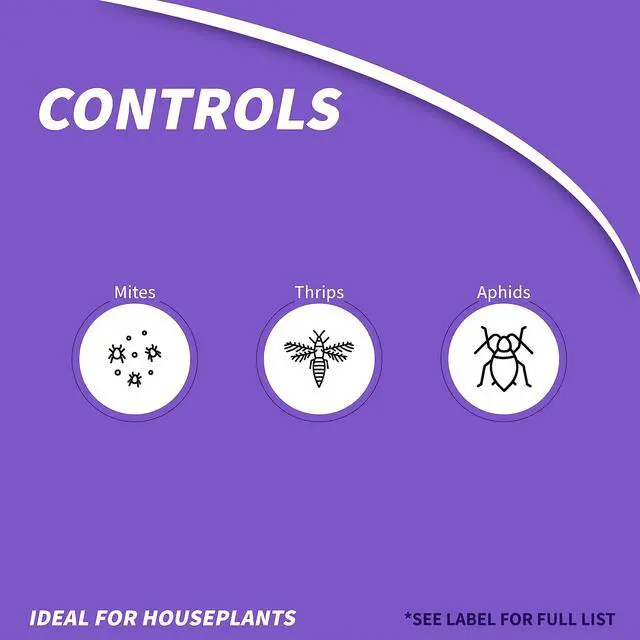 Alt view image 3 of 7 - Captain Jack's Mite-X for Houseplants, 12 oz Ready-to-Use Spray for Insect Control