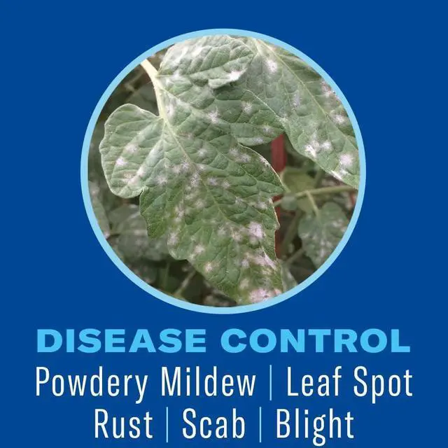Alt view image 3 of 7 - Houseplant Insect and Mite Control Spray - Insecticide, Fungicide & Miticide - Ready-to-Use - Houseplant Insect Control - 24 fl oz Bottle