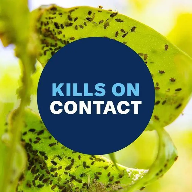 Alt view image 6 of 7 - Houseplant Insect and Mite Control Spray - Insecticide, Fungicide & Miticide - Ready-to-Use - Houseplant Insect Control - 24 fl oz Bottle