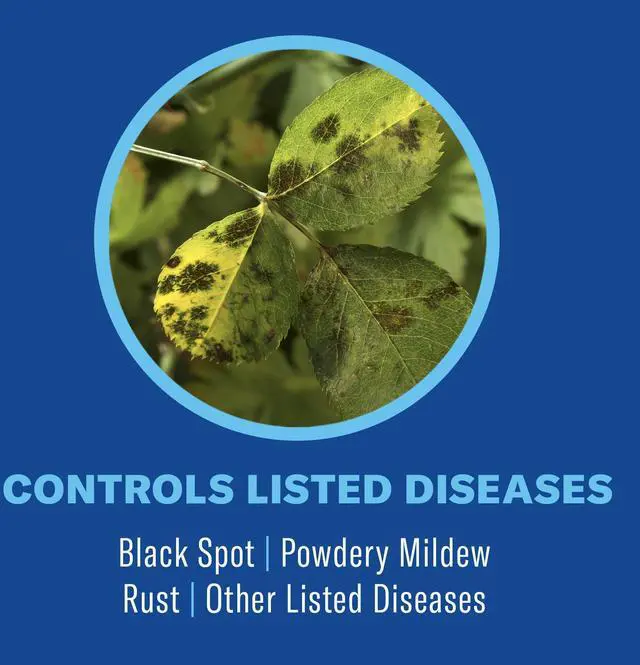 Alt view image 3 of 6 - BioAdvanced 3-in-1 Insect, Disease, and Mite Control Ready-to-Spray - 32 oz