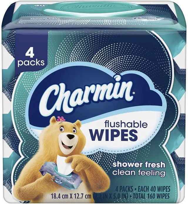 Main image of Flushable Wipes, 160 Total Wipes (4 Packs of 40)