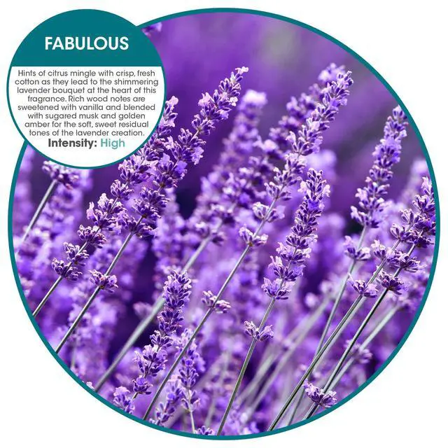 Alt view image 3 of 7 - Eco Bowl Clip 2.0 Toilet Bowl Air Freshener, Fabulous Lavender Scent, 4 Clips