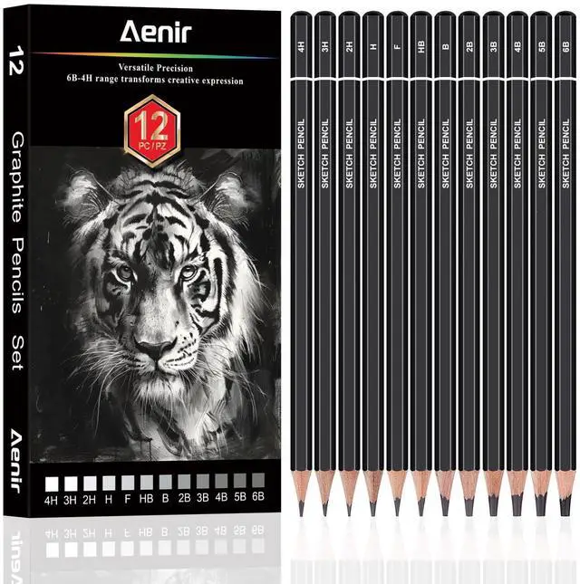 Main image of Sketch Pencils for Drawing, Set of 12 Drawing Pencils for Sketching Medium (6B - 4H), Artist Graphite Pencils, Sketch Set for Artists for Sketching Supplies, Art Supplies.
